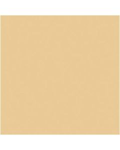 Rosco un 1/2 CTO 20X24 Amber - Rosco RS340811
