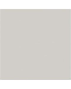 Rosco Roscolux Pale Grey, 20" x 24" Color Effects Lighting Filter