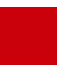 Rosco Roscolux Light Red, 20x24" Color Effects Lighting Filter